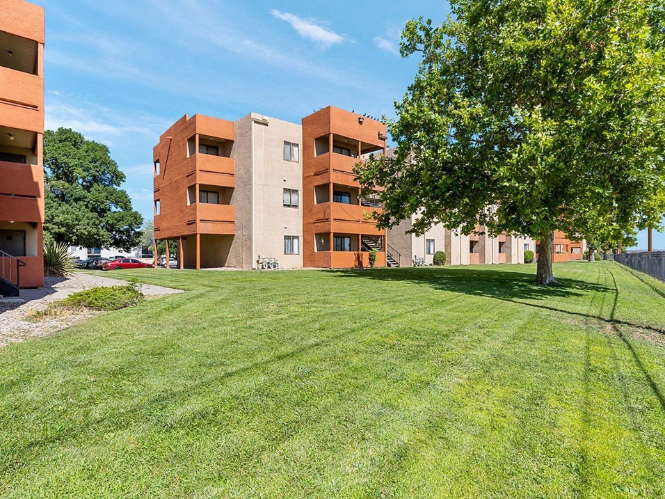 a grassy area with a tree in front of a building